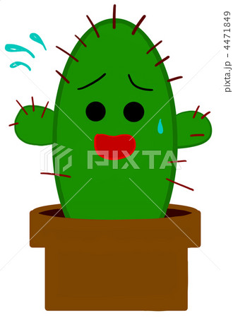 サボテン　困る 4471849