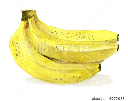 食べ頃バナナの水彩画のイラスト素材