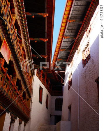 プナカ・ゾン　内部 4472337