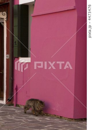 ブラーノの色彩57 ブラーノの色彩57 4473476