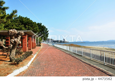 赤穂海浜公園海水浴場 赤穂海浜公園海水浴場 4473562