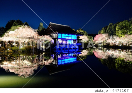 平安神宮紅しだれコンサート２０１２ 4475107