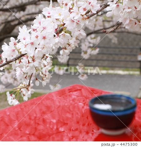 春の宴の写真素材 [4475300] - PIXTA