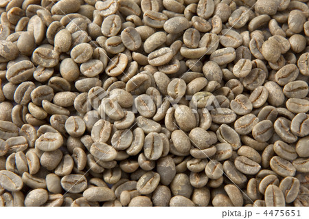 コーヒーの生豆 コーヒーの生豆 4475651