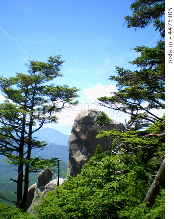 瑞牆山・大ヤスリ岩 4475805