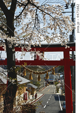 蔵王町の遠刈田温泉街 蔵王町の遠刈田温泉街 4475882