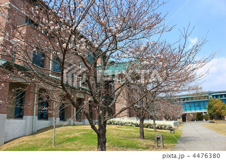 高知県立　高知工科大学　A棟　桜 4476380