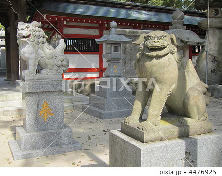 宇美八幡宮の狛犬 宇美八幡宮の狛犬 4476925