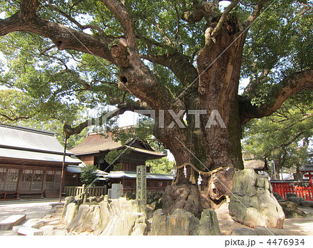 宇美八幡宮 宇美八幡宮 4476934