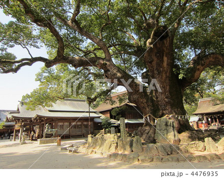 宇美八幡宮 4476935