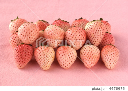 白イチゴ 4476976