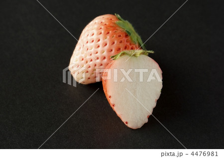 白イチゴ 4476981