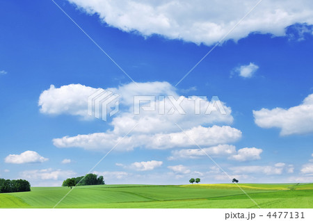 ドイツ_0964 4477131