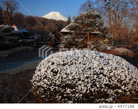 春待つ忍野村 春待つ忍野村 4477186