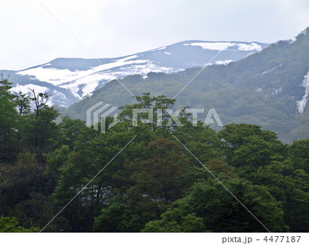 春の船形山 4477187