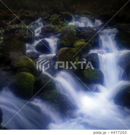 渓流 渓流 4477203