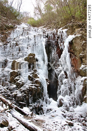 六甲山・七曲滝の氷瀑 4477295