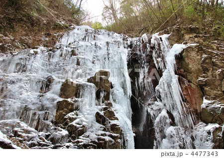 氷瀑の七曲滝・神戸六甲山 4477343