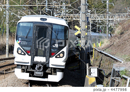 E257系　特急かいじ 4477998