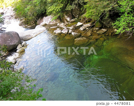 屋久島 美しく 澄んだ川 4478081