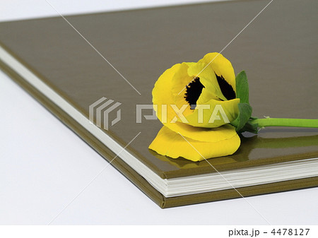 本とパンジー 本とパンジー 4478127