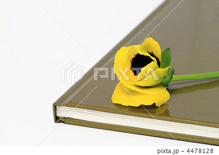 本とパンジー 本とパンジー 4478128
