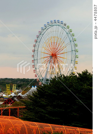 海浜公園観覧車 海浜公園観覧車 4478807