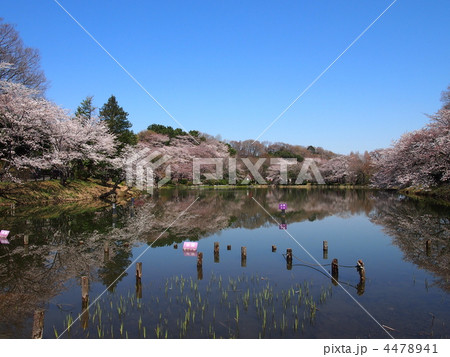 三ッ池公園 4478941