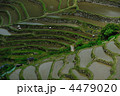 4479020