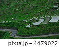 4479022