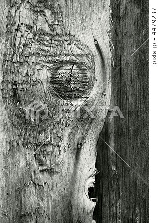 old wood texture 4479237