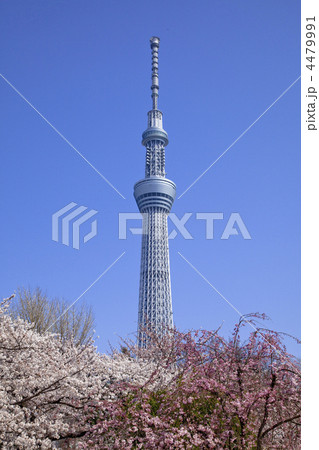 春のスカイツリー 4479991