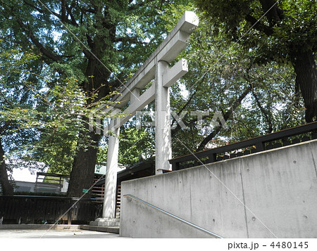 新宿熊野神社 4480145
