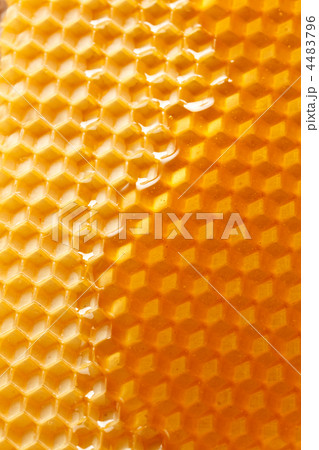 fresh honey in comb fresh honey in comb 4483796