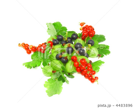 Berry mix-red , black currant, with leaf.Isolated. Berry mix-red , black currant, with leaf.Isolated. 4483896