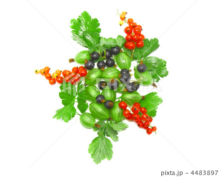 Berry mix-red , black currant, with leaf.Isolated. 4483897