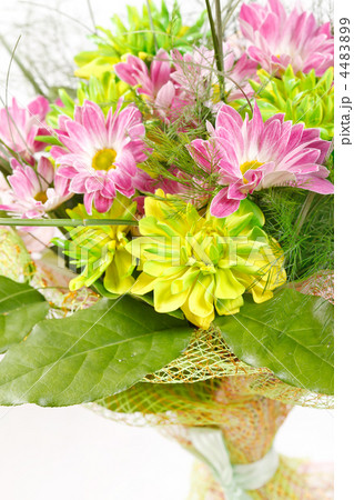 bouquet of colorful flowers bouquet of colorful flowers 4483899