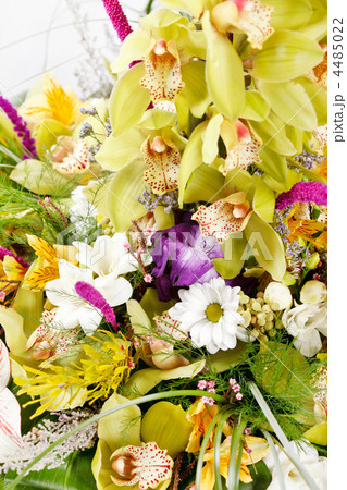 beautiful bouquet beautiful bouquet 4485022
