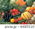 果物・野菜集合 4485510