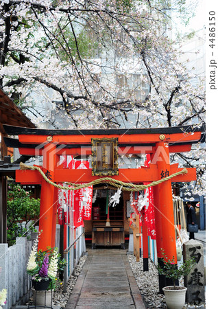 お初天神の玉津稲荷 お初天神の玉津稲荷 4486150