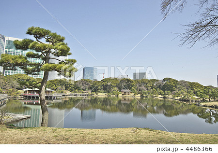東京　浜離宮庭園　潮入の池  4486366
