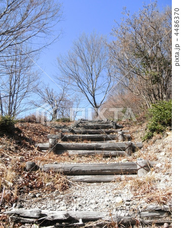 岐阜県 西行の森 遊歩道 岐阜県 西行の森 遊歩道 4486370