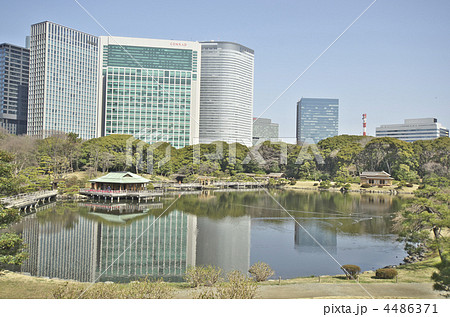 東京　浜離宮庭園　潮入の池  4486371