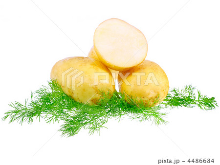 Young potatoes, decorating of dill . Isolated 4486684