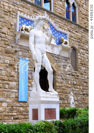 Michelangelo's replica David . Florence, Italy Michelangelo's replica David . Florence, Italy 4486830