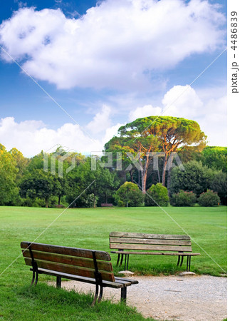 Two benches in the meadow. 4486839