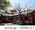 大宮神社 4488221