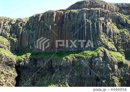 ジャイアンツコーズウェイ 4490956