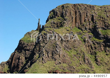 ジャイアンツコーズウェイ 4490957