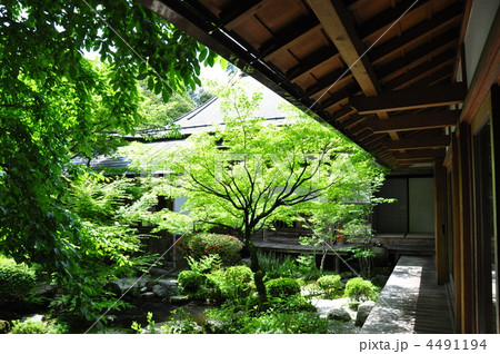 宝泉院中庭 4491194